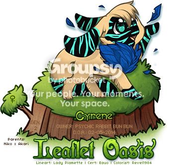 User Image